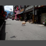 20130624-2013-06-24 12.23.59.jpg